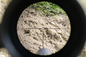 rifle scope view