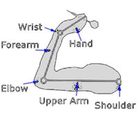 elbow position