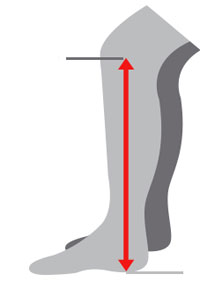 leg length