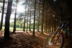 cross country mountain biking