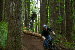 freeride mountain biking