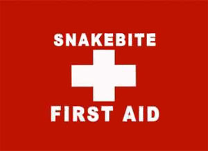 snake bite aid