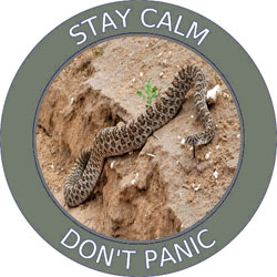 stay calm