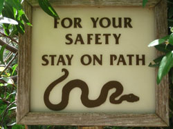 stay on path