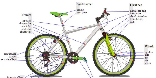 mtb build