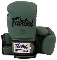 Fairtex Muay Thai Boxing Gloves Limited Edition BGV11 F 