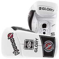 Hayabusa Glory Kickboxing Gloves