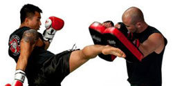 kick boxing gloves