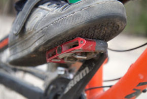 dual link pedals shoes