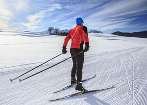 skate-skiing technique