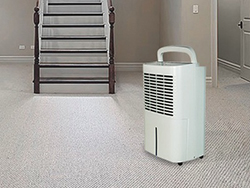 5 Best Dehumidifiers For Basement And Cellar Spaces Hix Magazine Everything For Men [ 188 x 250 Pixel ]