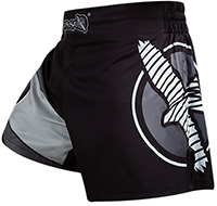 Hayabusa Fighter Kickboxing Shorts