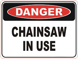 chainsaw safety boots