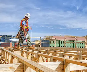 Carpenter working