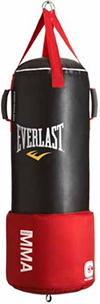 Everlast Omni Strike Heavy 80-Pound Bag