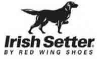 Irish Setter