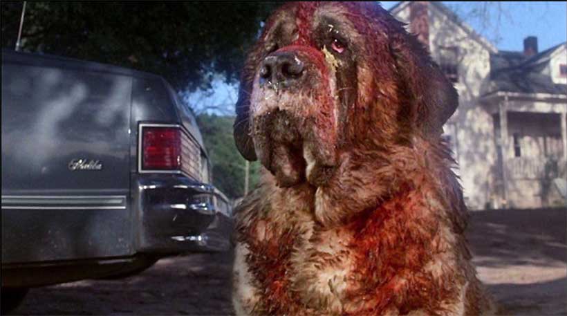 Cujo-1983-Movie Cujo (1983) Movie