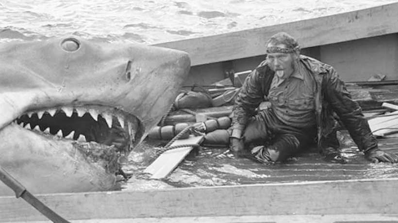 Jaws 1975