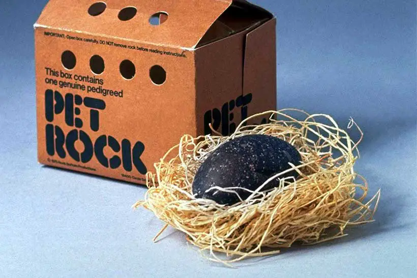 Pet-Rock-1970s Pet Rock 1970s